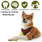 Beniqu Durable Dog Bone Chew Toy for Aggressive Chewers