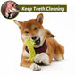 Beniqu Durable Dog Bone Chew Toy for Aggressive Chewers