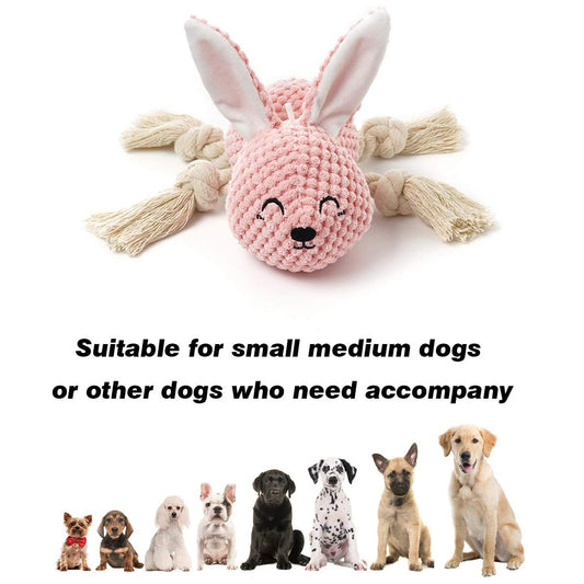 Beniqu Interactive Rabbit Stuffed with Squeaker Dog Chew Toy