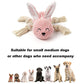 Beniqu Interactive Rabbit Stuffed with Squeaker Dog Chew Toy