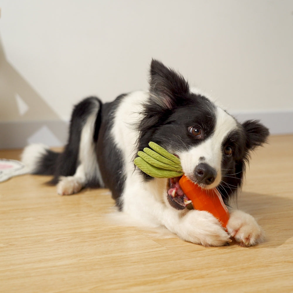 Beniqu Natural Rubber Carrot Dog Chew Toy for Medium Large Breed