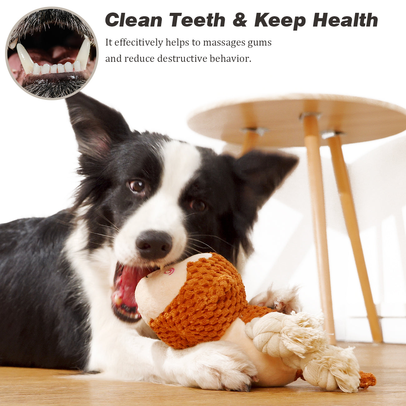 Beniqu Teeth Cleaning Monkey Squeaking Dog Puzzle Toy